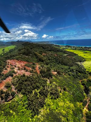 Image of Helicopter Tour Kauai, Waterfall Adventure | Adrenaline  review